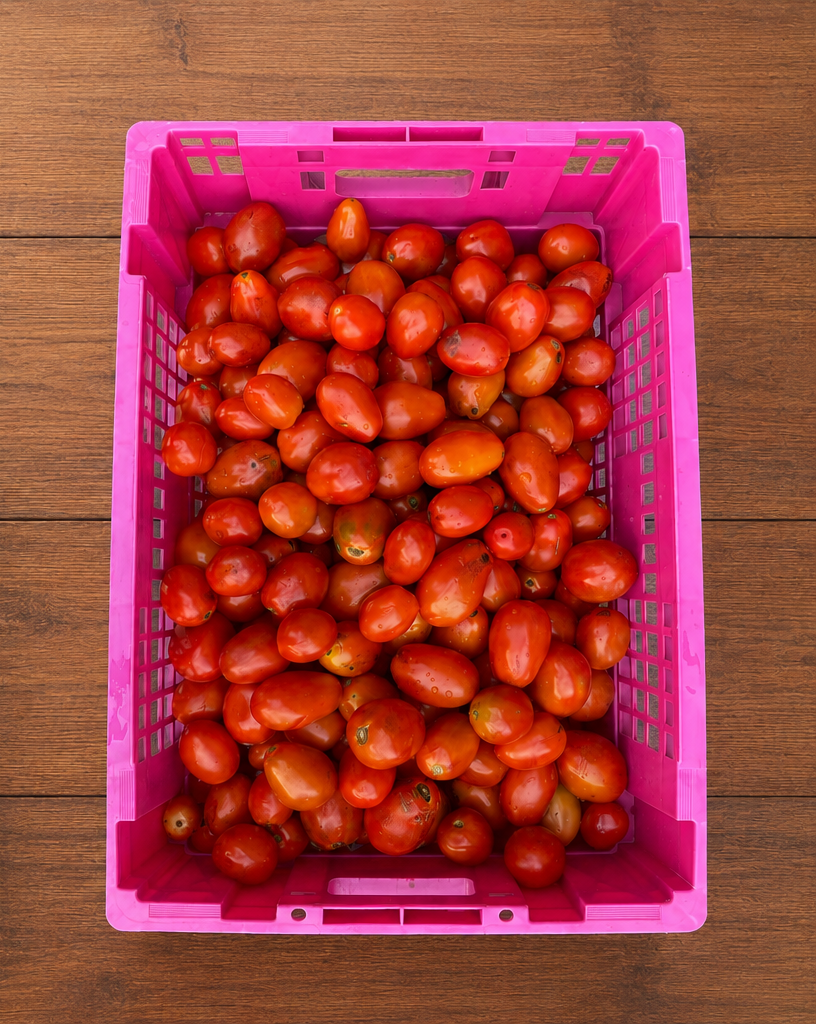 Fresh tomatoes